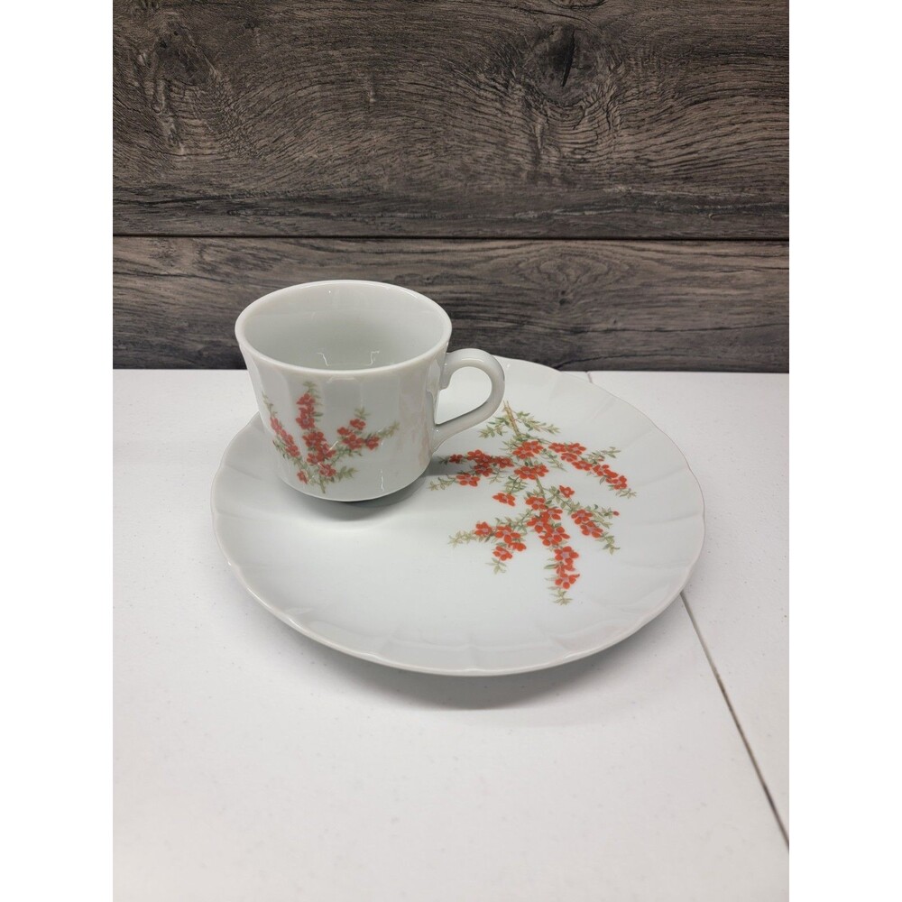 RICHMOND THE TOSCANY COLLECTION TEA CUP AND PLATE VINTAGE JAPAN RED FLOWERS